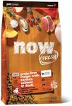 Now Fresh Grain-Free Dry Dog Food, 