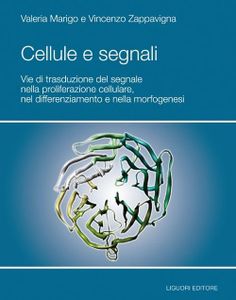 Cellule e segnali. Vie di trasduzione del segnale nella proliferazione cellulare e nella morfogenesi