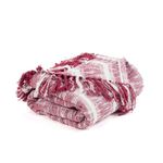 Salt Earth 100% Cotton 50"x70" Boho Throw Blanket, Yarn Dyed Lightweight Textured Throw Blanket for Home and Boho Couch, Cotton Blanket Throws for All Seasons, Blanket Throw with Tassels (Burgundy)