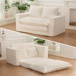 Loveseat Sleeper Sofa, Convertible