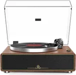 Turntable Record Player with Built-