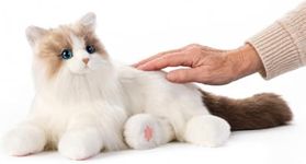 Chongker Realistic Robot Cat-Interactive Companion Pets, Robotic Cat Stuffed Animal with Voice Response、Heartbeat and Purring, Emotional Support Plush for Parents, Seniors, Elderly，22" Ragdoll cat