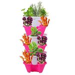 POTS4NATURE 6 Tier Stacking Pots for Garden Vertical Flowers Vegetables Strawberries Herbs Plastic Planter Pots for Indoor/Outdoor, Terrace, Balcony, Patio (White & Pink)