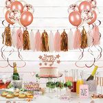 Hippity Hop Tissue Paper garland pom pom tassel For Birthday decoration,theme decoration,bridal shower,anniversary,valentine,bacheorette,bachelors,kids decoration,Rose Gold and Pink (20 pcs Pack of 1)