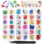 EBANKU 132PCS 3D Dried Flowers Nail Art , 3 Boxes Colorful Dried Gypsophila Daisy Hydrangea Flowers Nail Art Stickers Decoration and 1 tip tweezers, for Women Girls 3D Nail Design Decoration and Resin DIY