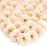 Bright Creations 50 Pack Champagne Roses Artificial Flowers Bulk, 3 Inch Stemless Fake Silk Roses for Decorations, Wedding, Faux Bouquets