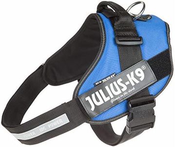 Julius-K9, 16IDC-B-3, IDC Powerharness, dog harness, Size: 2XL/3, Blue