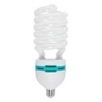 LimoStudio Photo Video Studio 85 Watt 6500K Full Spectrum Daylight CFL Bulb, AGG696