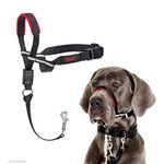 HALTI Optifit Headcollar Size Large, Dog Head Harness to Stop Pulling on the Lead, Easy to Use, Adjustable & Reflective Head Collar for Dogs, Professional Anti-Pull Training Aid, Black