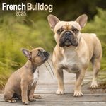 French Bulldog Calendar 2025 | Square Dog Breed Wall Calendar - 16 Month