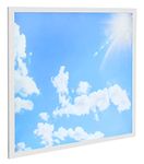 Long Life Lamp Company 40w Blue Sky LED Ceiling Panel 600 x 600 Sun Cloud Scene Recessed Office Light with Transformer