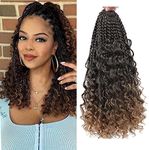 WoWCFyyds 8 Packs Crochet Braids Ha