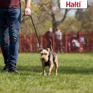 HALTI No Pull Dog Harness, Small – Black Adjustable Training Vest