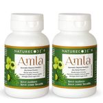 Nature Code Ayurvedic Amla Extract 400mg Capsules | Approved by Ministry of Ayush (Govt. of India) | Boost Body Immunity, Provides Protection against Infections, Manage Sugar Control, Enhance Glowing Skin & Hair -60 Veg Capsules (Pack of 2)