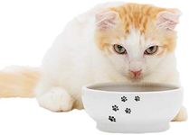 Necoichi Cat Food Bowl & Water Bowl - Shallow Wide Cute Cats Dish - Prevents Neck & Whisker Fatigue - Dishwasher & Microwave Safe - No Spill Ceramic Cat Bowl for Indoor Cats & Kittens (Paw Style)