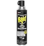 Raid Wasp & Hornet Killer Spray, 17