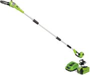 Greenworks 40V 8" Pole Saw, 2.0Ah B