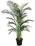 Blooming Artificial - Areca Palm Plant Indoor, Realistic Artificial Palm Tree for Garden, Home, and Office, Year Round Decorative Foliage, UV and Water Resistant (Green) (160cm)
