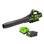 Greenworks Pro 80V (170 MPH / 730 CFM) Brushless Cordless Axial Blower, 4.0Ah Battery and Rapid Charger Included