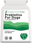 Antifungal Pill For Dogs