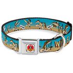 Buckle-Down DC-WLTWC001-S Dog Collar Seatbelt Buckle, Wile E. Coyote Expressions/Signs Desert, 9"-15"