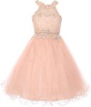 Big Girls' Sparkle Rhinestones Halter Lace Junior Bridesmaid Pageant Flower Girl Dress Blush 16 (C50C40C)