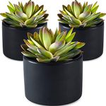 SEEKO Succulents Artificial Succulents in Ceramic Pots (3 Set) Realistic & Beautiful Fake Succulents for Desk Décor, Office Plants, Bathroom Shelf Décor, Table Décor (Black)