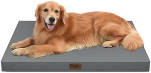 Tail Stories Outdoor Extra Large Do