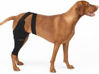 Joypig Dog Rear Leg Sleeve to Prevent Licking - Single Recovery Sleeve for Back Hind Leg, Wound Recovery After Surgery for Torn ACL/CCL TPLO Surgery