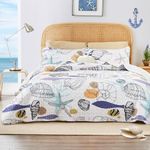 Love's cabin Quilts for Queen Conch White Bedspreads Coastal Bedding Set - Summer Beach Nautical Quilt Lightweight Bedspread - Reversible Coverlet for All Season - 3 Piece (1 Quilt, 2 Pillow Shams)