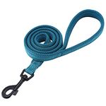 PETTOM Heavy Duty Pet Dog Basic Lead Leash 1.1 Meter/3.6 Ft Soft Padded Reflective Strong Thick Nylon Webbing for Puppy Small Medium Large Dogs Walking Outdoor Travel(Blue)