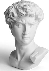 Garwor David Statue Head Sculptures 6" Michelangelo David Bust Figurine Classic Greek Roman Bust Home Decor Office Decor