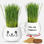 Organic Cat Grass Growing Kit - Promotes Natural Hairball Control and Digestive Wellness - Includes Organic Seed Mix, Nutrient-Rich Soil, and Stylish White Cat Planter