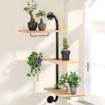 Window Plant Shelves, DELLAN Rotating Plant Shelf for Window, Wall Mounted Indoor Hanging Plants Shelf (3 Tier)