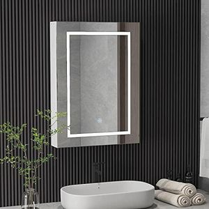 Medicine Cabinet with Lights Bathroom Medicine Cabinet with Mirror Wall Mounted Lighted Illuminated Mirror Cabinet with Storage,US Plug Adapter,Brightness Adjustable,Not Recessed 27.5 X19.6 Inch