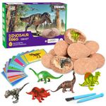 Dig Up Dinosaur Fossil Eggs,Includes 12 Eggs and Discover 12 Cute Dinosaurs,Easter Digging Toy for 3 4 5 6 7 8 9 10 11 12 Year Old Boys Girls Archaeology Science STEM Gifts