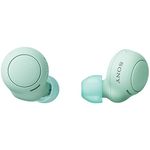 Sony WF-C500 Fully Wireless Earbuds, Lightweight, Small 0.2 oz (5.4 g), High Precision Call Quality, Easy Pairing, IPX4 Splashproof Performance, Ice Green WF-C500 GZ