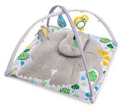 Milliard Baby Play Gym, Tummy Time Activity Play Mat, Great for Development and Learning, Plush and Padded, Suitable for Newborns +