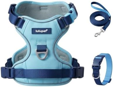 LULUPET Dog Harness Collar and Leash Set, No Pull Vest Adjustable with Reflective Strip Soft Handle for Small Medium Large Sized Dogs Blue
