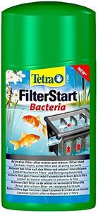 Tetra Pond
