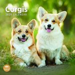 2025 Corgis Monthly Wall Calendar by Bright Day, 12 x 12 Inch Cute Dog Breed Gift