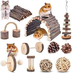 ERKOON 11 Pack Chinchillas Chew Toys, Toys Accessories for Teeth Care, Natural Apple Wood Ladder Bell Roller for Russian Hamster Gerbils Rats Guinea Pigs