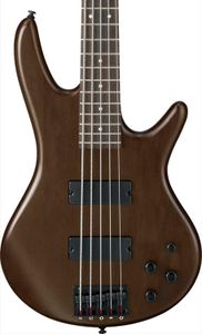 Ibanez 5-String Bass Guitar – GSR205B Electric Bass