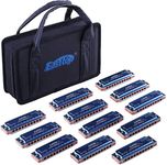 East top Blues Diatonic Harmonica S