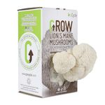 GroCycle Lion's Mane Mushroom Growing Kit | Mushroom Grow Kit | Gardening Gifts for Men, Women & Kids | Grow Your Own Kits | Fun to Grow & Delicious to Eat | Lions Mane Grow Kit | Mushroom Gifts