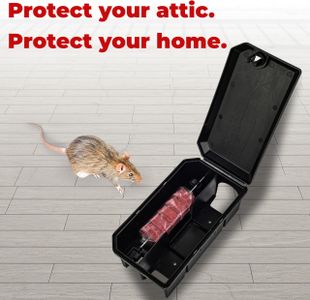 ROSHIELD Anti Rat Solution Kit, 2-Pack – Rodent Control