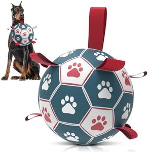 QDAN Dog T