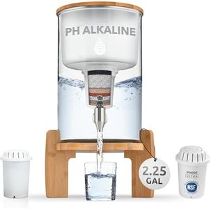 Invigorated Water pH Recharge Glass Alkaline Water Filtration Bundle – 8.5L Countertop Water Dispenser + PH001 Ultra Replacement Filter – High pH Purifier for Clean, Alkaline Water