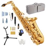 STRICH Eb Alto Saxophone Brass Student Beginner Alto Sax Kit with Hard Case Stand Neck Strap Mouthpiece and Reeds for School Band Home Practice, SSA-31G, Gold