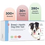 Basepaws Dog DNA Testing Kit - 300+ Breeds, 280+ Health Risks, and 30+ Traits - Comprehensive Health, Trait, and Mixed Breed Identification, Dog DNA Test kit, Test Dogs Genetic Ancestry and Heritage